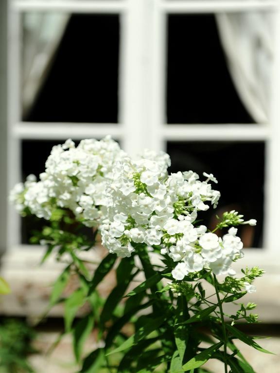 Bed and Breakfast Le Jardin Cathedrale Chartres Exterior foto